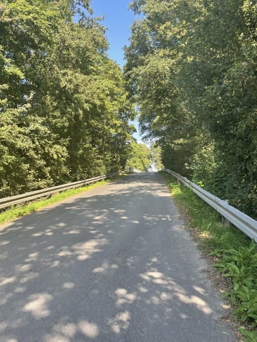 Wanderweg Ronneburger Wald Nr.3