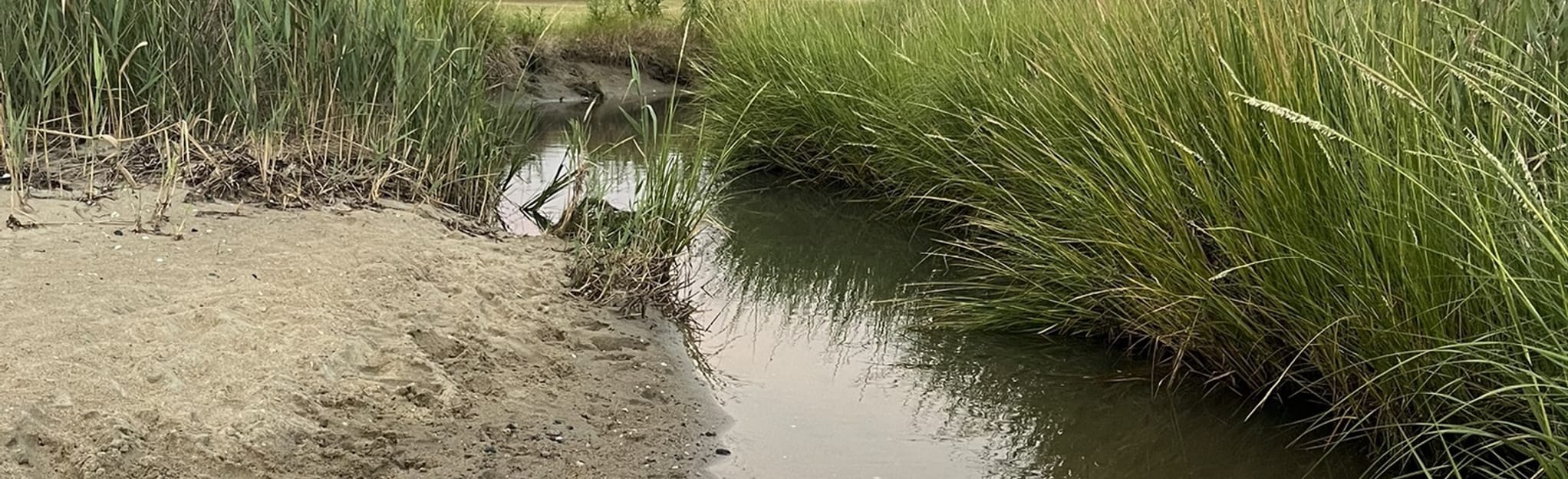 Blue Beach Quonset Point Trail, Rhode Island 32 Reviews, Map AllTrails