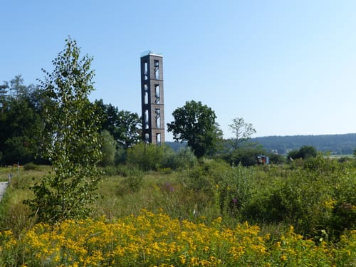 Pfrunger-Burgweiler Ried: Großer Trauben