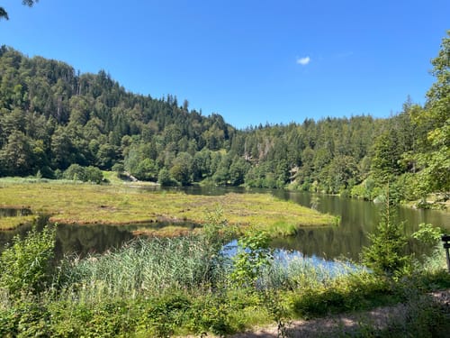 Kälbelescheuer-Nonnenmattweiher