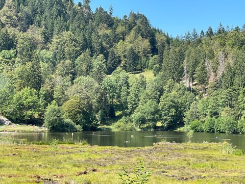 Kälbelescheuer-Nonnenmattweiher