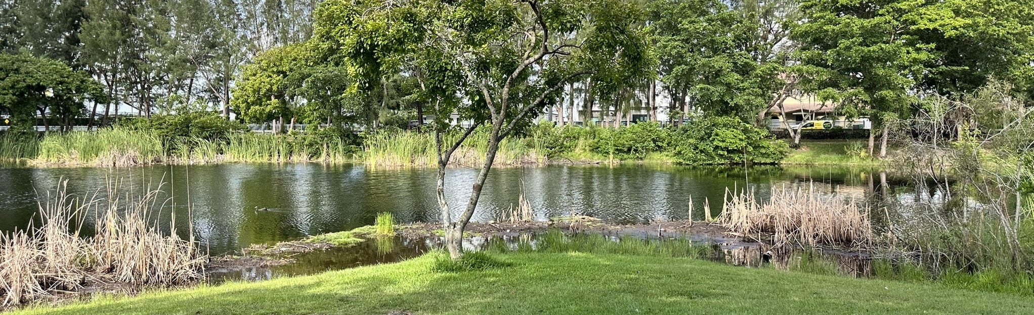 Tropical Park Loop, Florida 175 Reviews, Map AllTrails