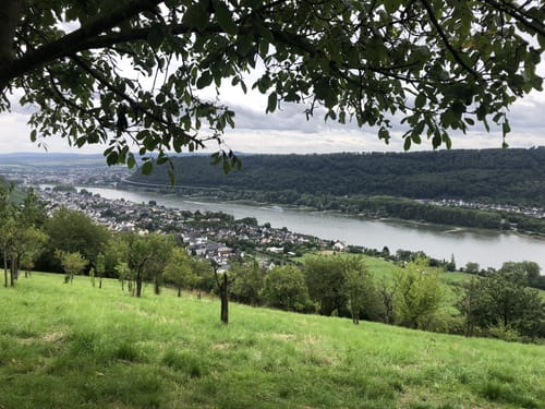 Rheinsteig: Von Rheinbrohl nach Leutesdorf