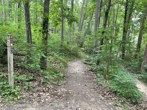 Hickory glen mountain bike trail new arrivals