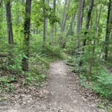 Hickory glen store mountain bike trail