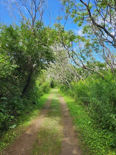 Best Hikes and Trails in Burton Island State Park AllTrails