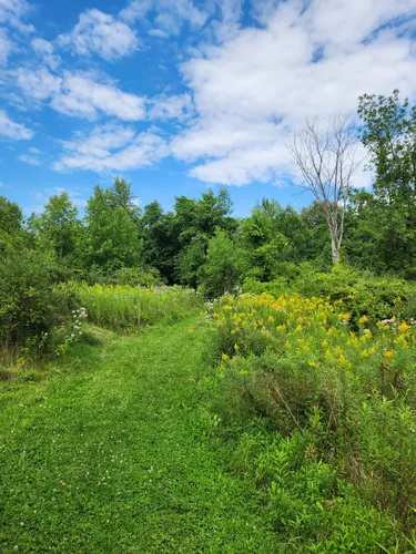 Best Hikes and Trails in Burton Island State Park AllTrails