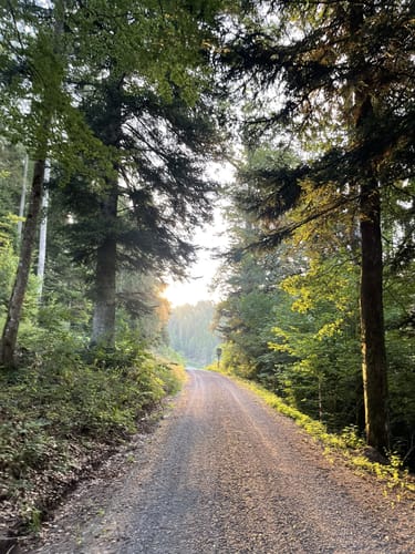 Edelweiler Runde