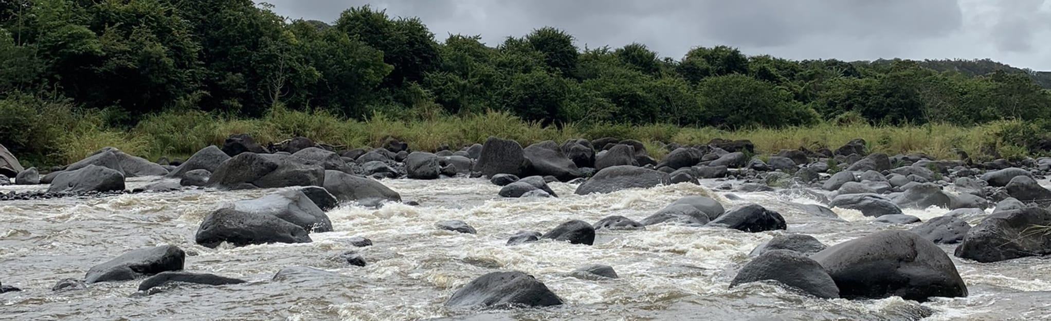 Rivière du mât - Bassin de la Mer, Réunion - 7 Reviews, Map | AllTrails