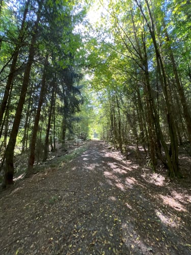 Einhard Quelle Rundwanderweg 3: Steinich-Weg