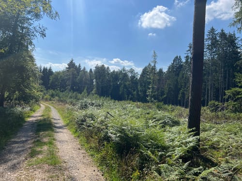 Einhard Quelle Rundwanderweg 3: Steinich-Weg