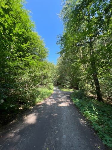 Einhard Quelle Rundwanderweg 3: Steinich-Weg