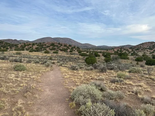 10 Best Hikes And Trails In Carson National Forest 