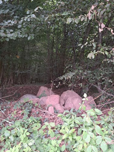Altenholz