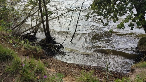 Schleirunde zwischen Büstorf und Stubbe
