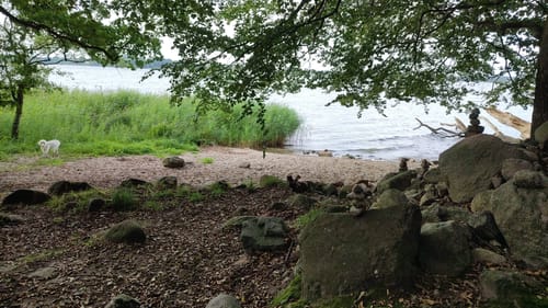 Schleirunde zwischen Büstorf und Stubbe