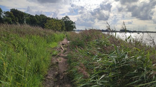 Schleirunde zwischen Büstorf und Stubbe