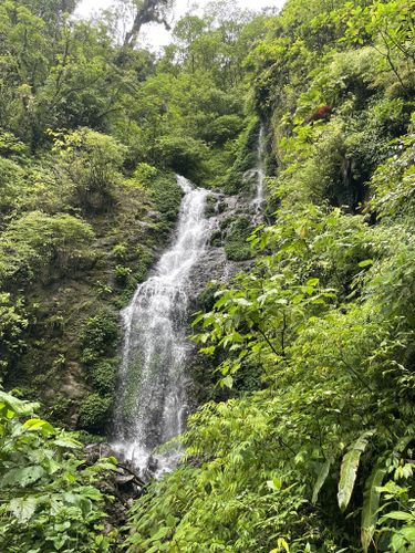 Cascadas El Tigre: 326 fotos - Guanacaste, Costa Rica