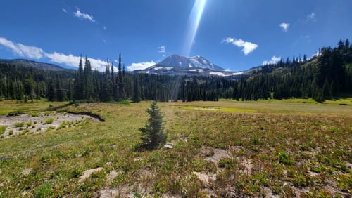 Photos of Mount Adams via Divide Camp Trail 112 and PCT