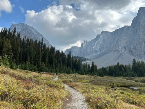 10 Best Hikes and Trails in Peter Lougheed Provincial Park | AllTrails