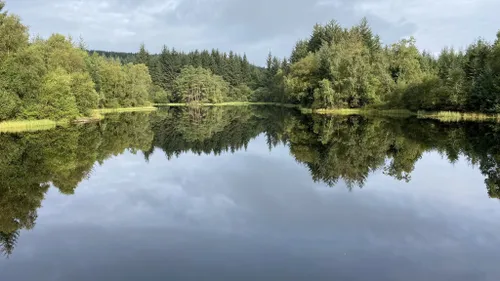 10 Best Forest Trails in Kirroughtree Forest | AllTrails