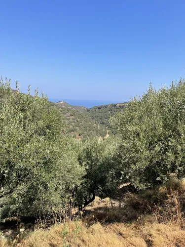 Best Hikes And Trails In Agia Marina 