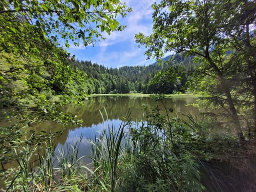 Enterrottach zur Jagahüttn
