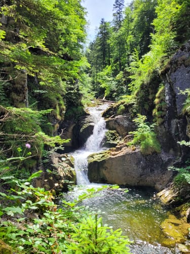 Enterrottach zur Jagahüttn