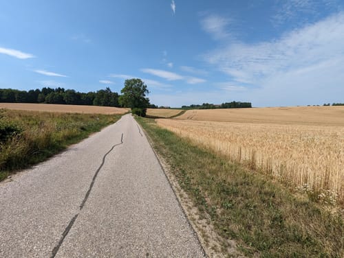 Freising - Freisinger Forst Wanderung
