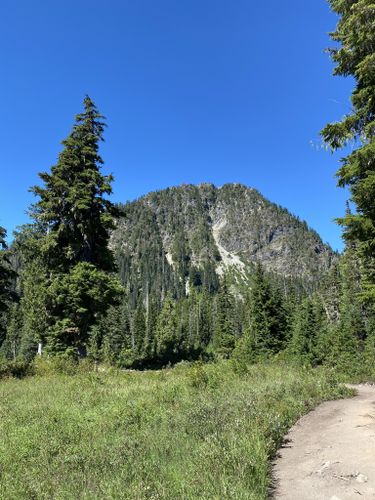 Photos of Schriebers Meadow via Park Butte Trail 603 - Washington