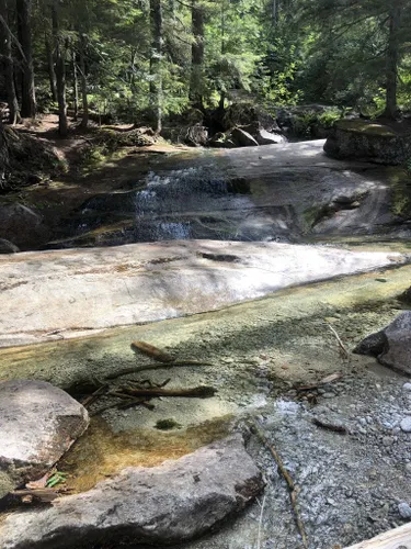 Best Hikes and Trails in Priest Lake State Park | AllTrails