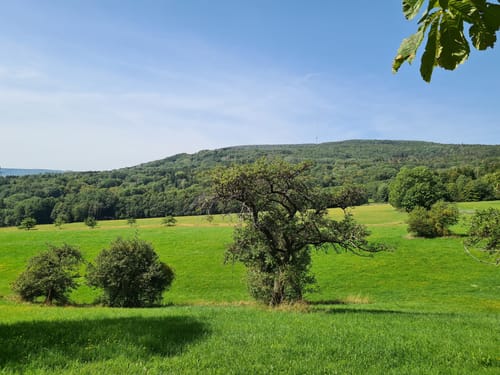 Kreuzbergtour (Extratour)