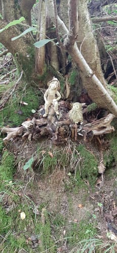 Diller Burgpfad (Traumschleife)