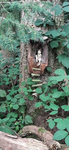 Diller Burgpfad (Traumschleife)