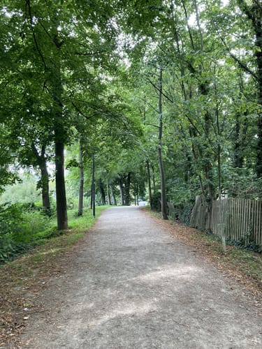 Rund um den Göttinger Stadtwall