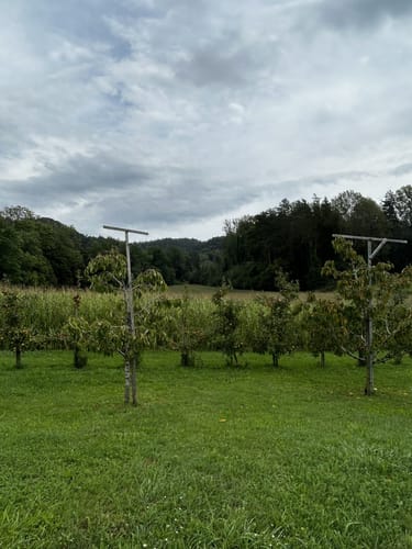 Apfelrundwanderweg Frickingen