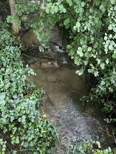 Apfelrundwanderweg Frickingen