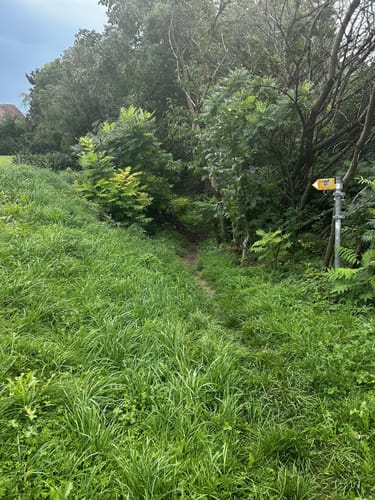 Apfelrundwanderweg Frickingen