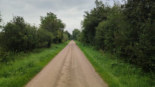 Hohner See