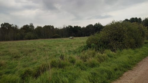 Hohner See