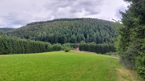 Heimatspur 1000-jähriger-Weg