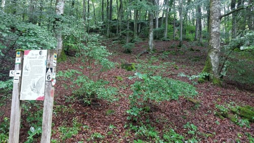 Schönecker Schweiz Rundweg