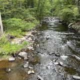 Tusten Mountain Trail, New York - 1,160 Reviews, Map | AllTrails