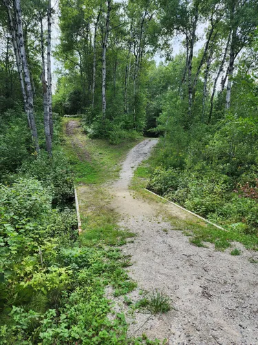 Pooley country park online mtb