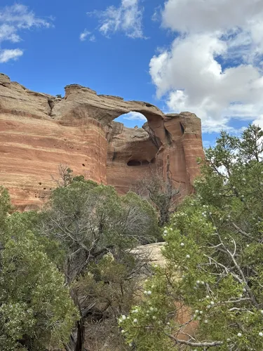 Best 10 Hikes and Trails in Black Ridge Canyons Wilderness | AllTrails