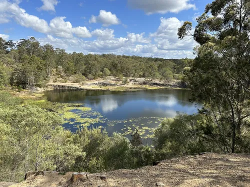 10 Best Walking Trails in Daisy Hill Conservation Park | AllTrails