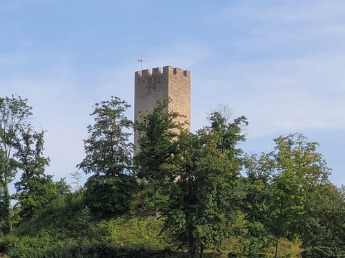 SaaleHorizontale Etappe 2: Ziegenhain - Beutnitz