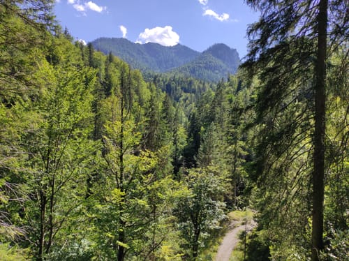 Kaitlalm/Reiteralm-Runde
