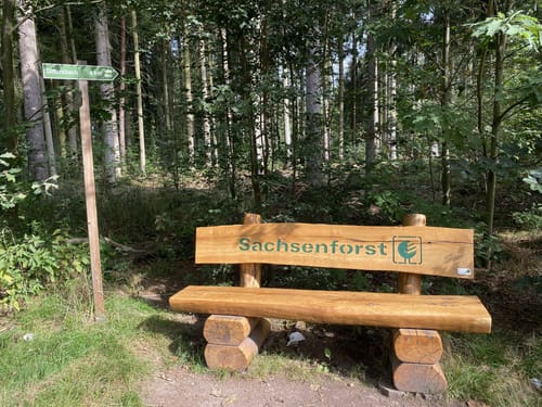 Schilfteich - ­Lützeltal­ - Küchwald