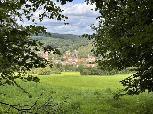 Biberpfad (Premiumwanderweg)